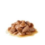 Royal Canin Feline Digest Sensitive Gravy 12 Bolsitas x 85g