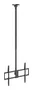 Aisens Soporte de Techo Pro CT100TSLE-393 para TV de 50-100 Pulgadas, Negro