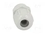 LAPP Sello aislante SKINTOP® M12