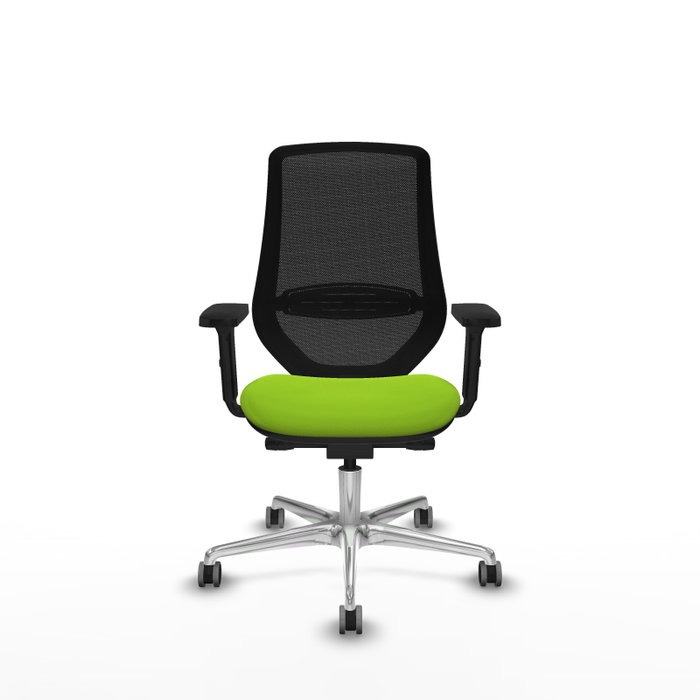 PIQUERAS Y CRESPO Silla de oficina Mardos con mecanismo Sincro/Traslack Pistacho y Negro PIQUERAS Y CRESPO Silla de oficina Mardos con mecanismo Sincro/Traslack Pistacho y Negro