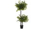 DKD Home Decor Árbol Ficus 2 Copas Verde