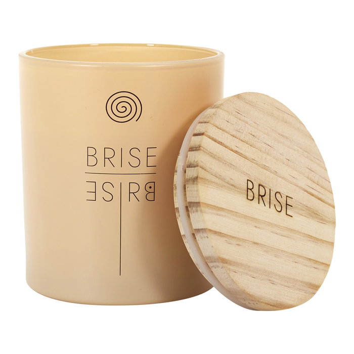 Home Deco Factory Vela Perfumada Diámetro 8 cm Altura 10 cm Colección Natural Velas Aromáticas Hogar