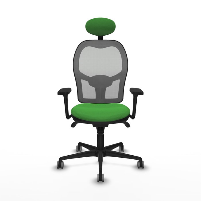 PIQUERAS Y CRESPO Silla de Oficina Jorquera con Mecanismo Sincro, Tela Verde y Malla Gris PIQUERAS Y CRESPO Silla de Oficina Jorquera con Mecanismo Sincro, Tela Verde y Malla Gris