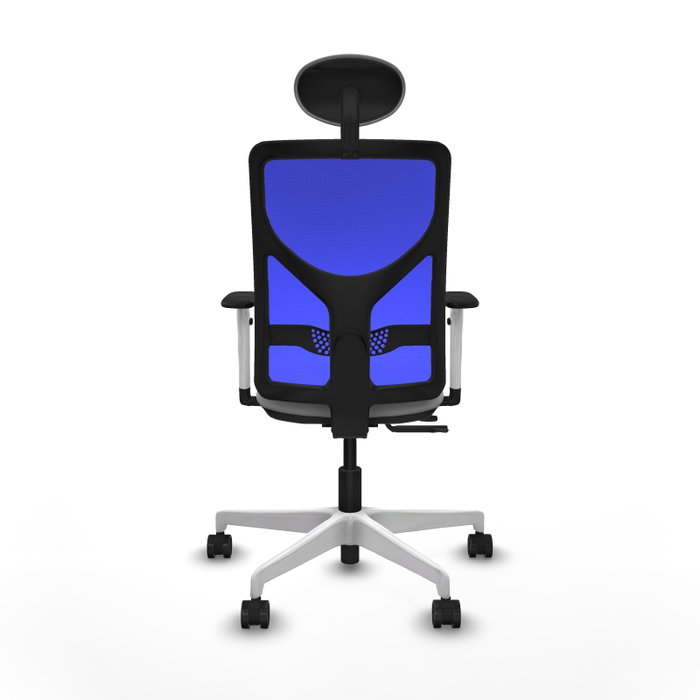 PIQUERAS Y CRESPO Silla de oficina Motilla con mecanismo Sincro/Traslack, Gris claro y Azul PIQUERAS Y CRESPO Silla de oficina Motilla con mecanismo Sincro/Traslack, Gris claro y Azul