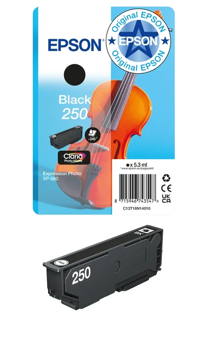 Epson Cartucho de Tinta Negro 250 C13T16N14010