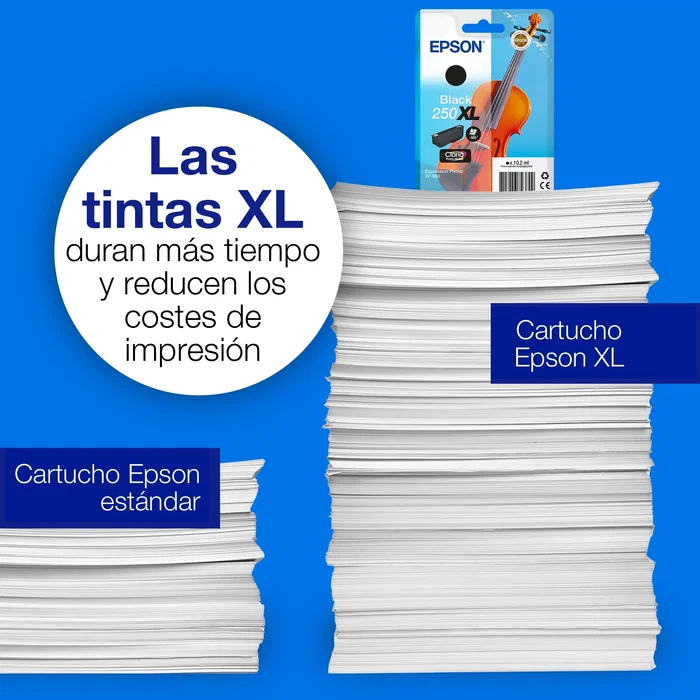 Epson Cartucho de Tinta Negro 250 C13T16N14010