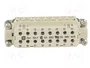 HARTING Han 16A-BU-S (17-32) Plantilla de contacto Hembra Han® A