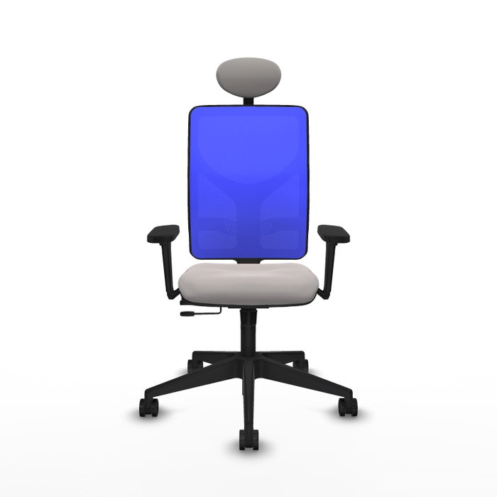 PIQUERAS Y CRESPO Silla de oficina Motilla con mecanismo Sincro/Traslack Blanco y Azul PIQUERAS Y CRESPO Silla de oficina Motilla con mecanismo Sincro/Traslack Blanco y Azul