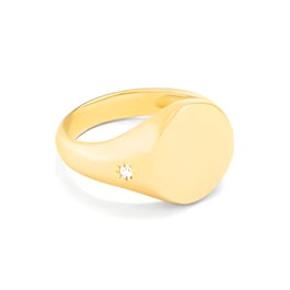 Secrecy Anillo Sello Redondo de Plata de Ley con Baño de Oro de 18K, Talla 14