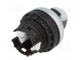 Eaton M22-WRLK-W Interruptor de palanca acodillada de 2 posiciones blanco