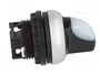 Eaton M22-WRLK-W Interruptor de palanca acodillada de 2 posiciones blanco