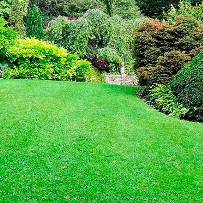 Fertiligene Fertilizante orgánico de césped Naturen 100 m² - 2.5 kg