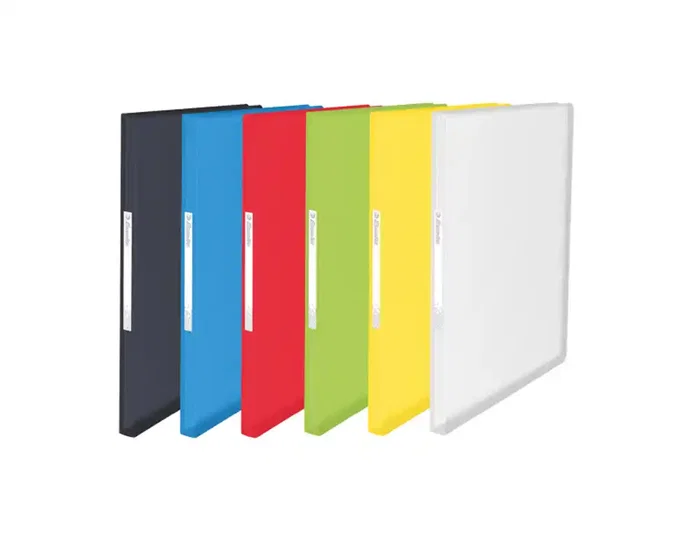 Esselte Carpeta Vivida A4 con 100 Fundas Colores Surtidos
