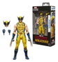 Hasbro Marvel Legends Wolverine (Damaged) 15 cm