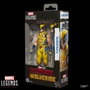 Hasbro Marvel Legends Wolverine (Damaged) 15 cm