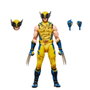 Hasbro Marvel Legends Wolverine (Damaged) 15 cm