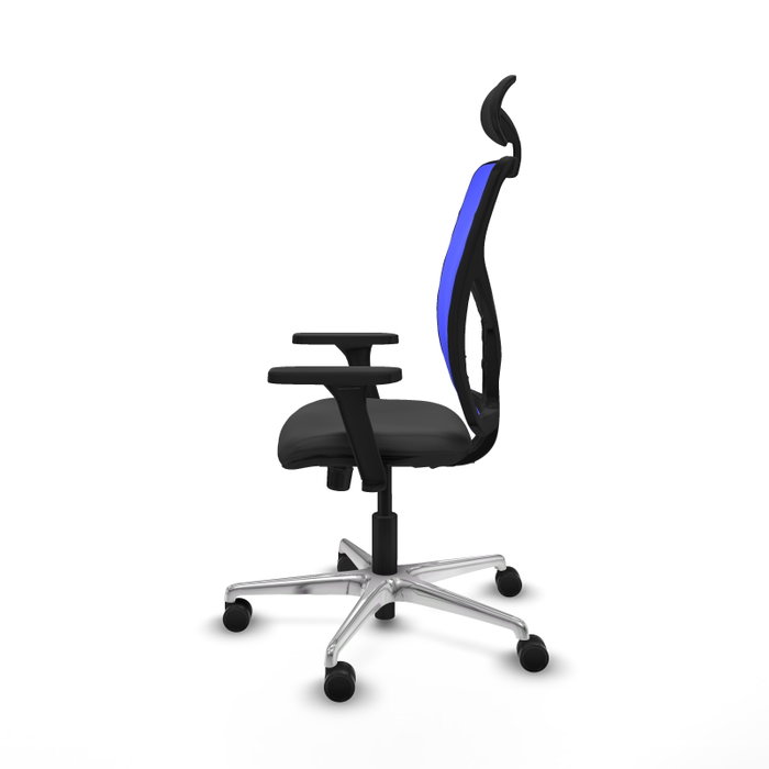 PIQUERAS Y CRESPO Silla de oficina Motilla con mecanismo Sincro, Gris oscuro y Azul PIQUERAS Y CRESPO Silla de oficina Motilla con mecanismo Sincro, Gris oscuro y Azul