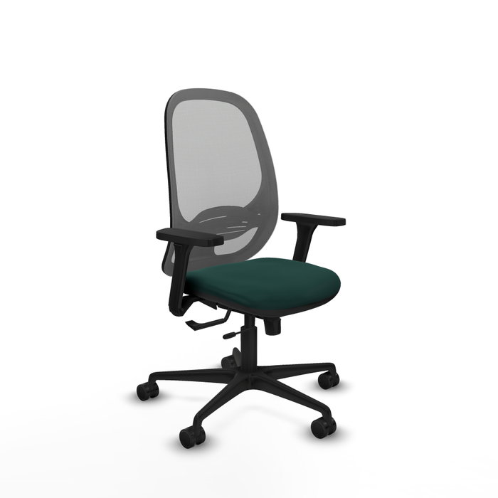 PIQUERAS Y CRESPO Silla de oficina Cilanco con mecanismo Sincro/Traslack Verde botella y Gris PIQUERAS Y CRESPO Silla de oficina Cilanco con mecanismo Sincro/Traslack Verde botella y Gris