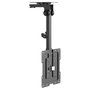 Equip Soporte de techo para pantalla 23-55 pulgadas, 20kg, VESA 400x400, plegable y ajustable