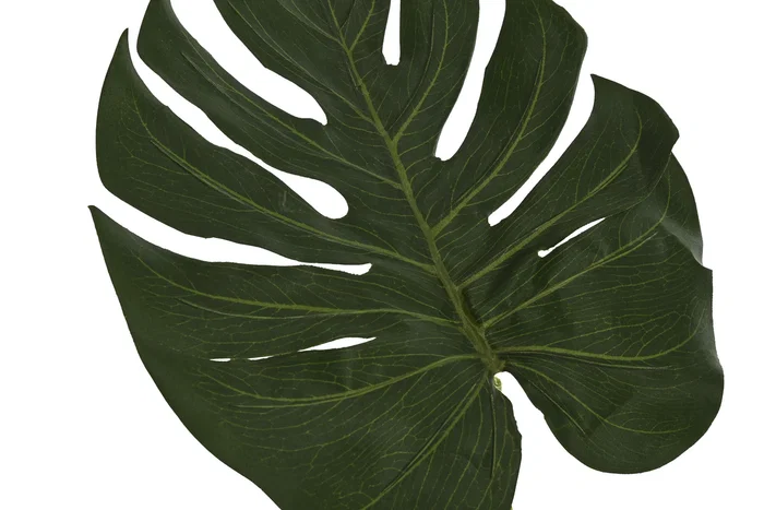 DKD Home Decor Hoja de Monstera Verde 25x0,5x67 cm