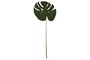DKD Home Decor Hoja de Monstera Verde 25x0,5x67 cm