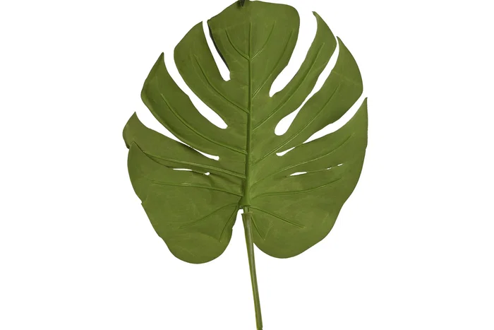 DKD Home Decor Hoja de Monstera Verde 25x0,5x67 cm