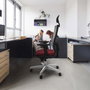 PIQUERAS Y CRESPO Silla de oficina Horna con mecanismo Sincro, Pistacho y Blanco