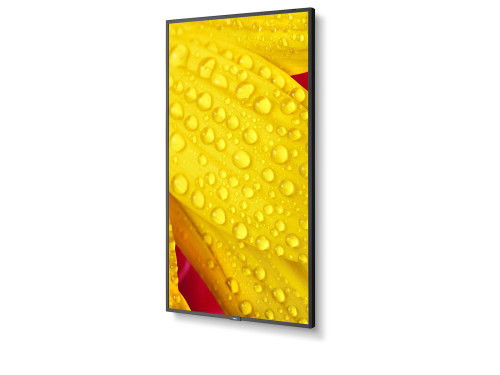 NEC MultiSync ME431 Pantalla para Señalización Digital 43" IPS 4K Ultra HD Negro 18/7