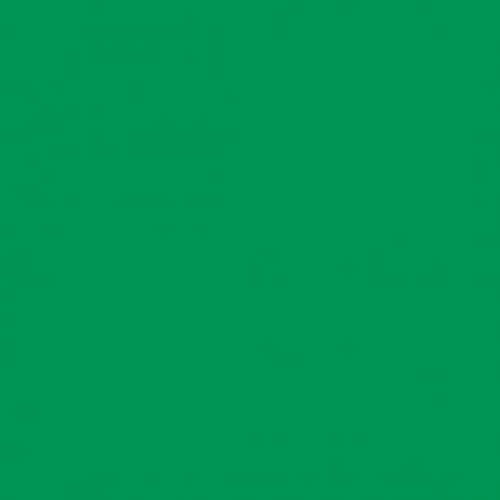 Cricut 2008686 Smart Iron-On Vinilo Termotransferencia Rollo Verde 330 mm x 900 mm Brillante para Plotter de Corte