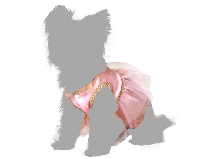 Disfraz Mascota Bailarina Ballet Rosa Talla M Polyester Disfraz Mascota Bailarina Ballet Rosa Talla M Polyester
