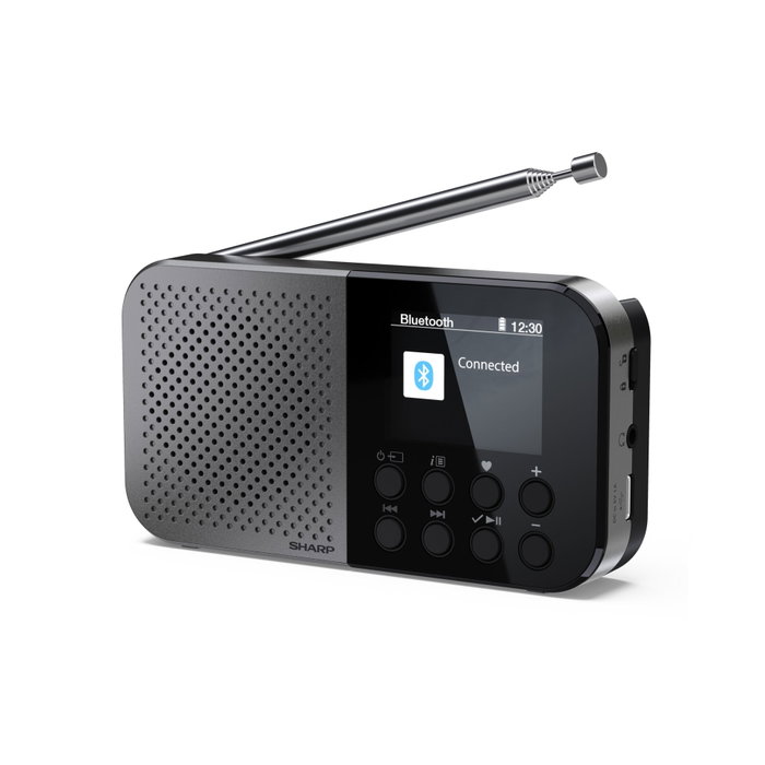 Sharp DR-P520 Osaka Radio Digital Portátil Negra