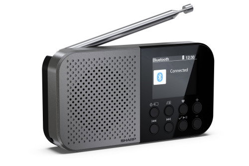 Sharp DR-P520 Radio Personal Digital Gris Sharp DR-P520 Radio Personal Digital Gris