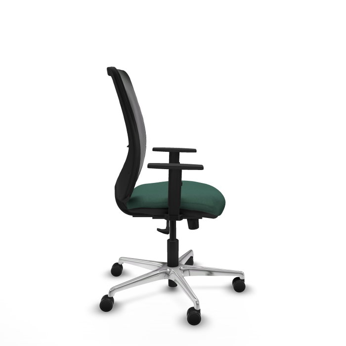 PIQUERAS Y CRESPO Silla de oficina Zulema Verde botella con respaldo de malla Negro PIQUERAS Y CRESPO Silla de oficina Zulema Verde botella con respaldo de malla Negro