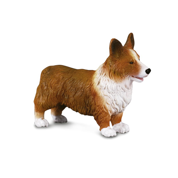 Collecta Perrito Corgi Galés Figura Coleccionable Réplica 1:1 Pintada a Mano 88082 - Juguete Educativo +3 años Collecta Perrito Corgi Galés Figura Coleccionable Réplica 1:1 Pintada a Mano 88082 - Juguete Educativo +3 años