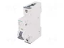 SIEMENS 5SY6110-6 Interruptor magnetotérmico 1 polo 10A 6kA