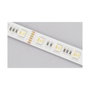 Synergy21 Synergy 21 LED Flex Strip 5050 - 60 RGB DC24V + RGB-WW (RGB-CCT) IP20