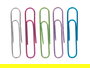 Pincello Set 30 Clips Metalizados Multicolor Metal 7.5x12.5x2 cm (Set de 24)