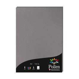 Papel Clairefontaine Pollen A4 120G 50H Gris Acero