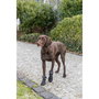 Andador de protección de patas Trixie 19410