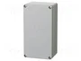 FIBOX EURONORD Carcasa Universal Gris IP66/IP67 IK08