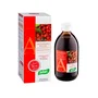 Santiveri Jugo Concentrado de Arándano Rojo 490ml