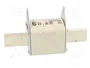 ETI POLAM Fusible de cartucho NH3C 315A 500VAC