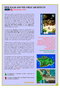 Enciclopedia Homebrew 01