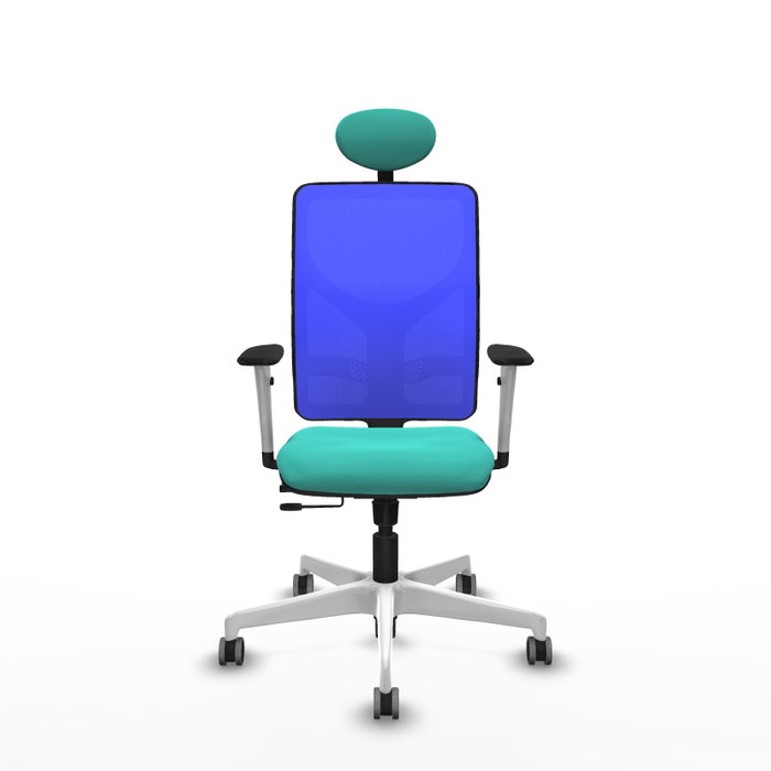 PIQUERAS Y CRESPO Silla de oficina Motilla con mecanismo Sincro/Traslack, Azul y Turquesa PIQUERAS Y CRESPO Silla de oficina Motilla con mecanismo Sincro/Traslack, Azul y Turquesa