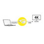 ROLINE Adaptador de Video DisplayPort 1.4 a HDMI 4K HDR 12.03.3164