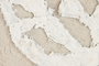 DKD Home Decor Cuadro Lienzo PS 62,5x62,5 cm Pack de 2