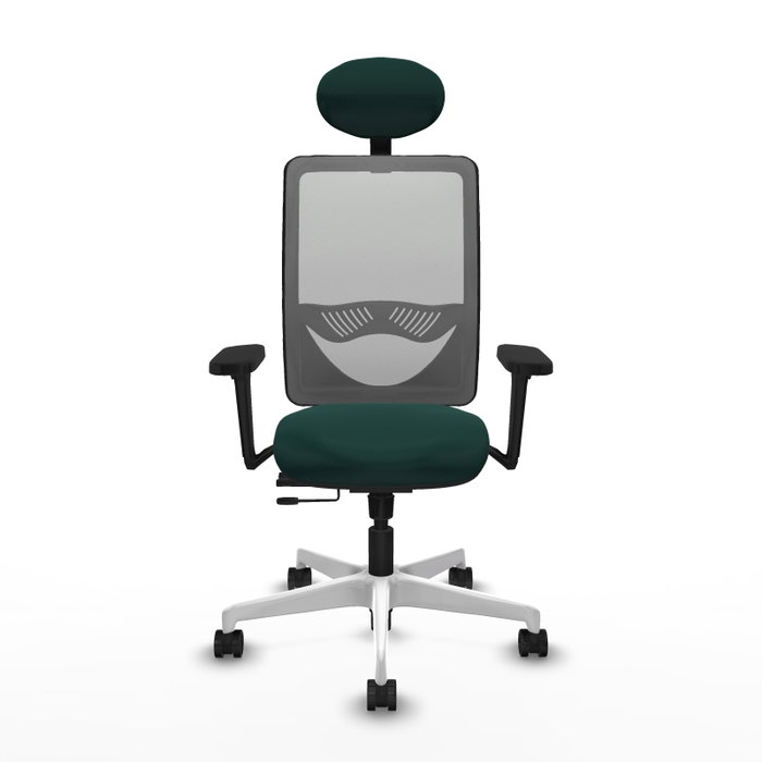 PIQUERAS Y CRESPO Silla de oficina Zulema con mecanismo Sincro/Traslack, Verde botella y Gris PIQUERAS Y CRESPO Silla de oficina Zulema con mecanismo Sincro/Traslack, Verde botella y Gris