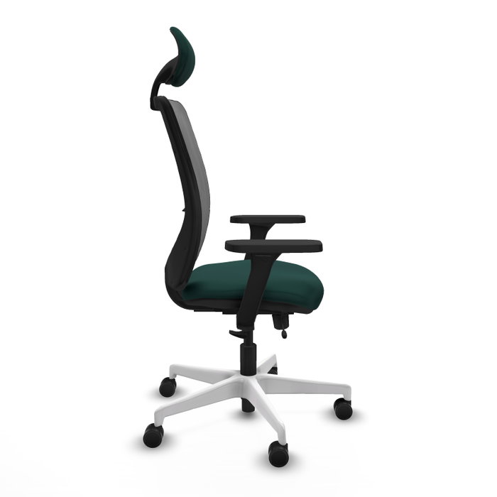 PIQUERAS Y CRESPO Silla de oficina Zulema con mecanismo Sincro/Traslack, Verde botella y Gris PIQUERAS Y CRESPO Silla de oficina Zulema con mecanismo Sincro/Traslack, Verde botella y Gris