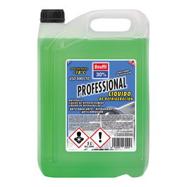 Krafft Anticongelante 30% Professional Verde 5L UNE 26.361.88 ASTM D 3306 VW TL-774-C (G-11)