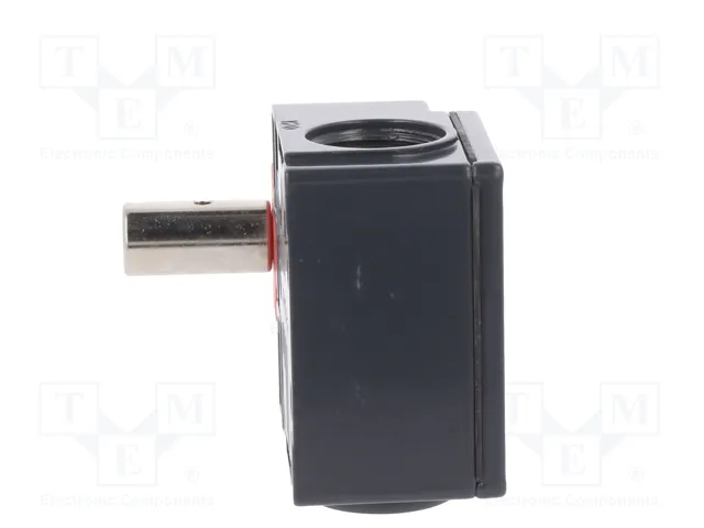 PIZZATO ELETTRICA Interruptor de seguridad de bisagra FZ NC + NA gris y rojo